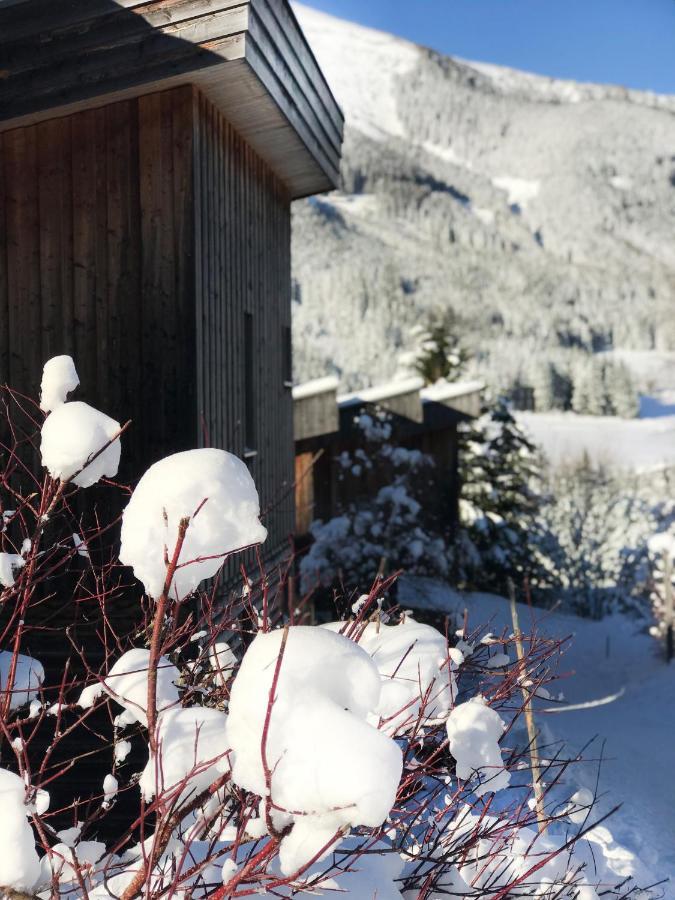Chalet Sternwarte Hohentauern Bagian luar foto
