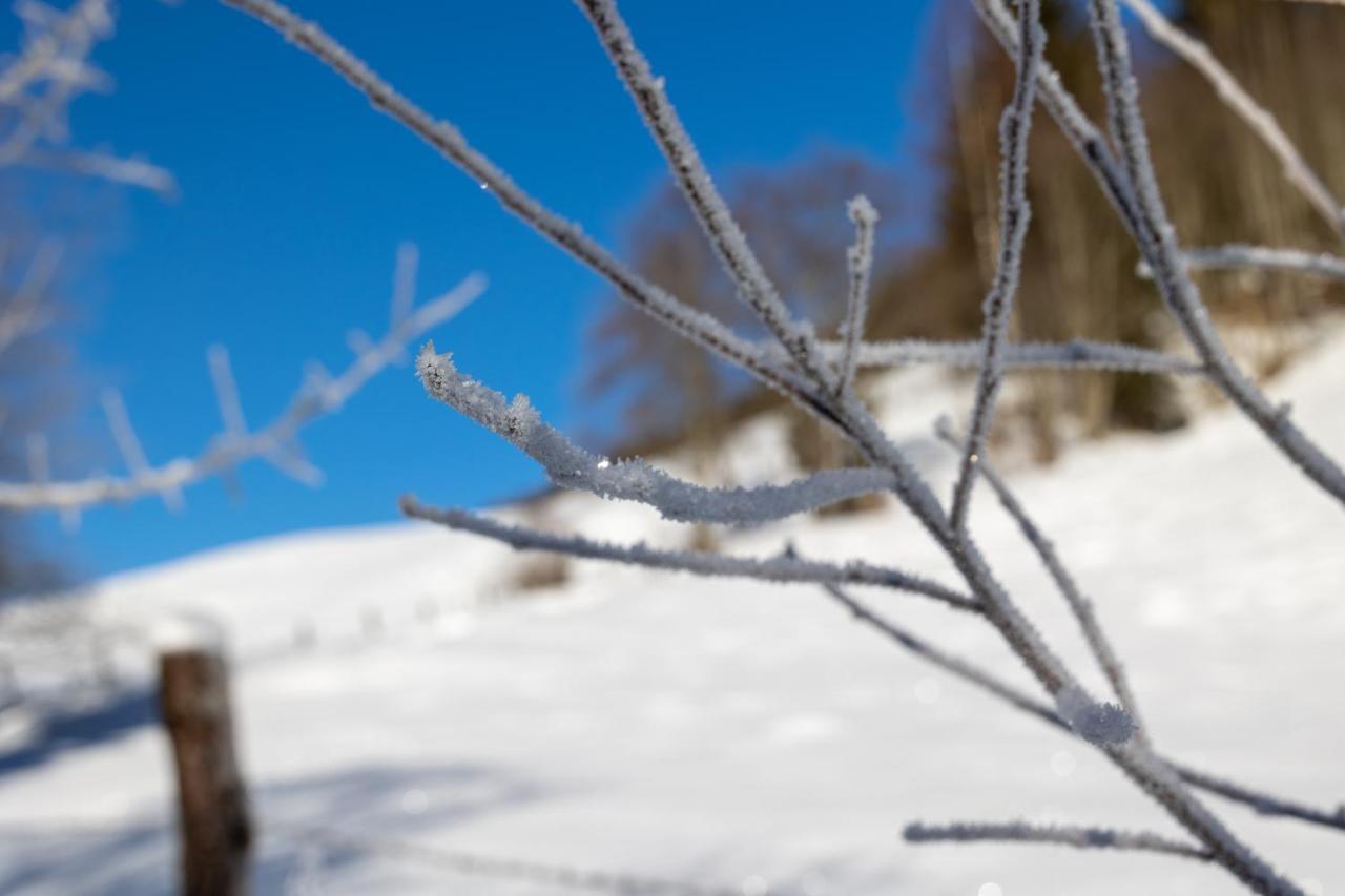 Chalet Sternwarte Hohentauern Bagian luar foto