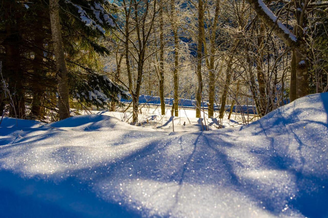Chalet Sternwarte Hohentauern Bagian luar foto
